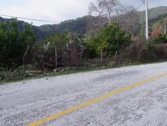 Çandırda  Satılık Arsa Köyceğiz 10629M2 Satılık Arsa