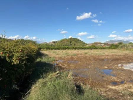 Ortaca Yeşilyurt'ta 3900M2 Satılık Arsa